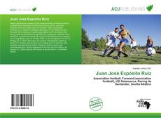 Bookcover of Juan José Expósito Ruiz