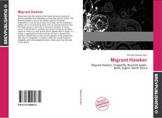 Migrant Hawker的封面