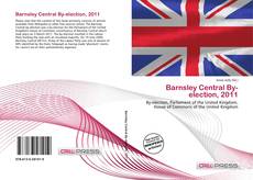 Copertina di Barnsley Central By-election, 2011