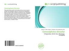 Обложка Conocephalus Discolor