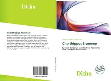 Couverture de Chorthippus Brunneus