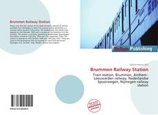 Brummen Railway Station kitap kapağı