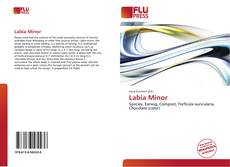 Bookcover of Labia Minor