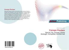 Bookcover of Conops Flavipes