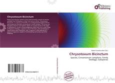 Chrysotoxum Bicinctum的封面
