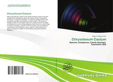 Copertina di Chrysotoxum Cautum