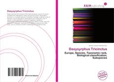 Couverture de Dasysyrphus Tricinctus