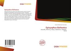 Episyrphus Balteatus的封面