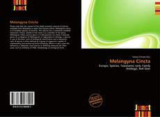 Couverture de Melangyna Cincta