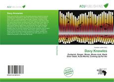 Davy Knowles的封面