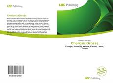 Bookcover of Cheilosia Grossa