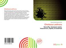 Copertina di Cheilosia Latifrons