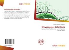 Chrysogaster Solstitialis的封面