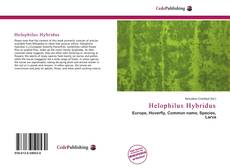 Обложка Helophilus Hybridus