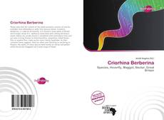 Bookcover of Criorhina Berberina