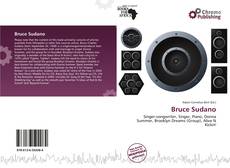 Portada del libro de Bruce Sudano