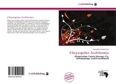 Bookcover of Chrysopilus Asiliformis