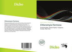 Bookcover of Chloromyia Formosa