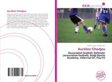 Portada del libro de Aurélien Chedjou