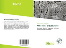 Copertina di Malachius Bipustulatus