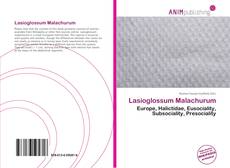 Lasioglossum Malachurum kitap kapağı