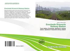 Buchcover von Enschede Drienerlo Railway Station