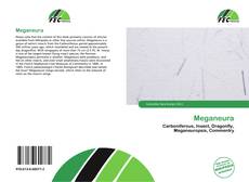 Обложка Meganeura