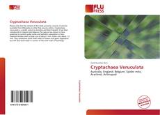 Bookcover of Cryptachaea Veruculata