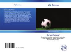 Capa do livro de Bernardo Anor 