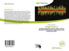 Portada del libro de Angel Ibarra