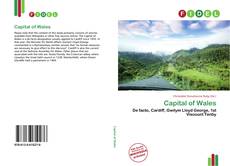 Bookcover of Capital of Wales