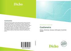 Buchcover von Castianeira