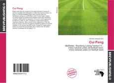 Buchcover von Cui Peng