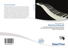 Portada del libro de David Lei Brandt