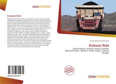 Estevan Riot的封面