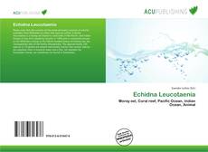 Bookcover of Echidna Leucotaenia