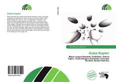 Buchcover von Gabe Kapler