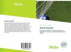 Buchcover von Derek Gaudet