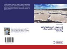 Capa do livro de Valorization of clays and clay wastes in cement industry 