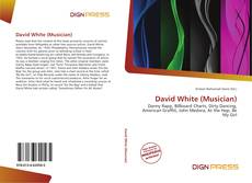 Copertina di David White (Musician)