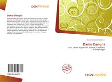 Copertina di Danio Dangila