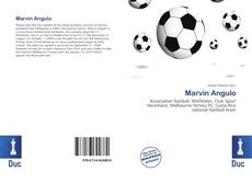 Bookcover of Marvin Angulo