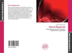 Garra Rupecula的封面