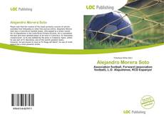 Bookcover of Alejandro Morera Soto