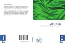 Bookcover of Labeo Ariza