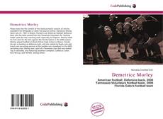 Capa do livro de Demetrice Morley 
