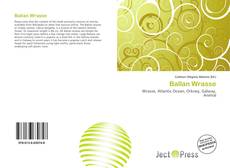 Portada del libro de Ballan Wrasse