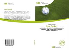 Bookcover of Igor Budan