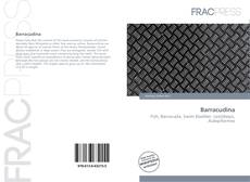 Barracudina的封面