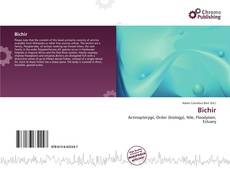 Couverture de Bichir